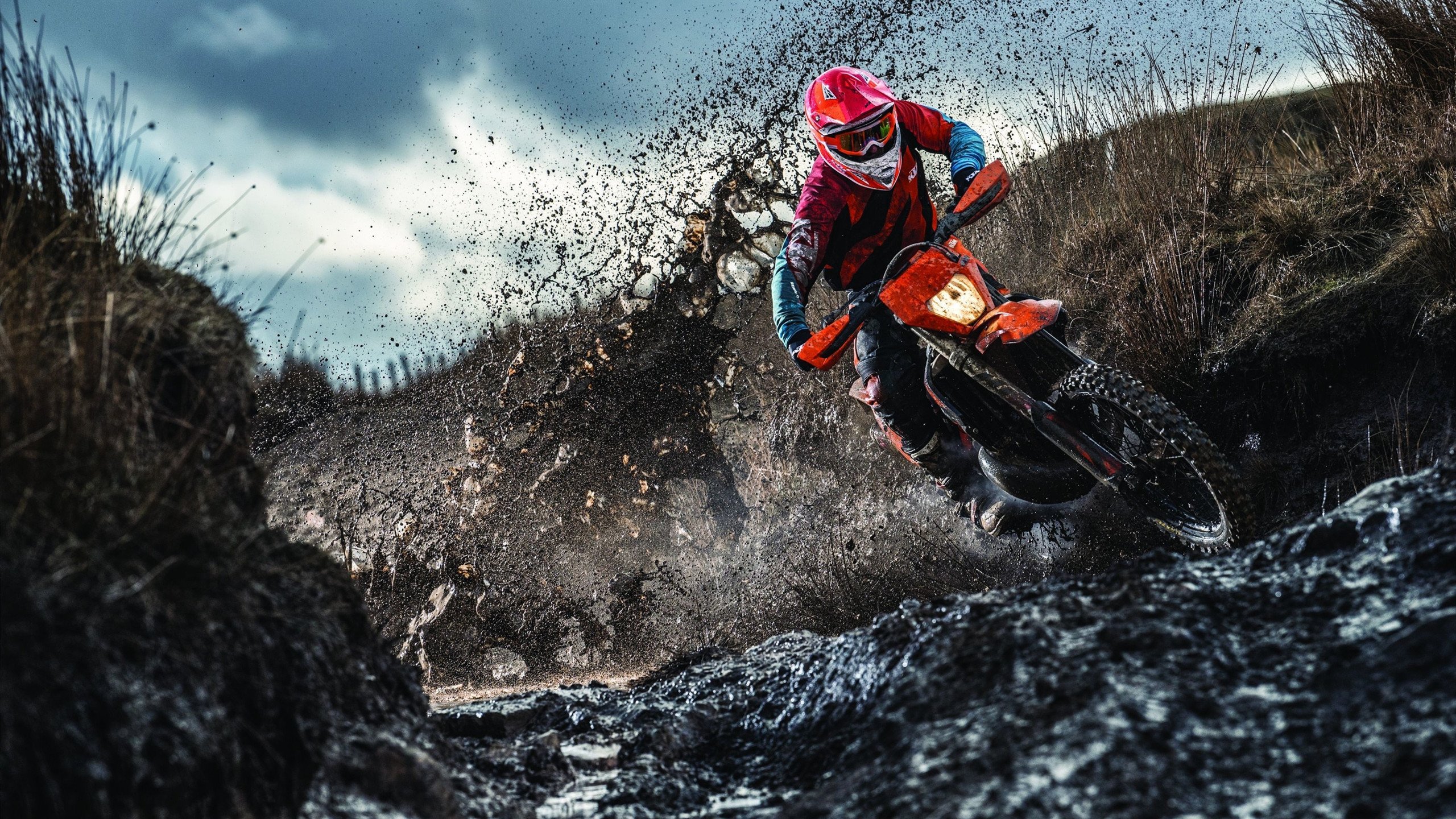 季后赛抢七之夜,锡安成为胜负手