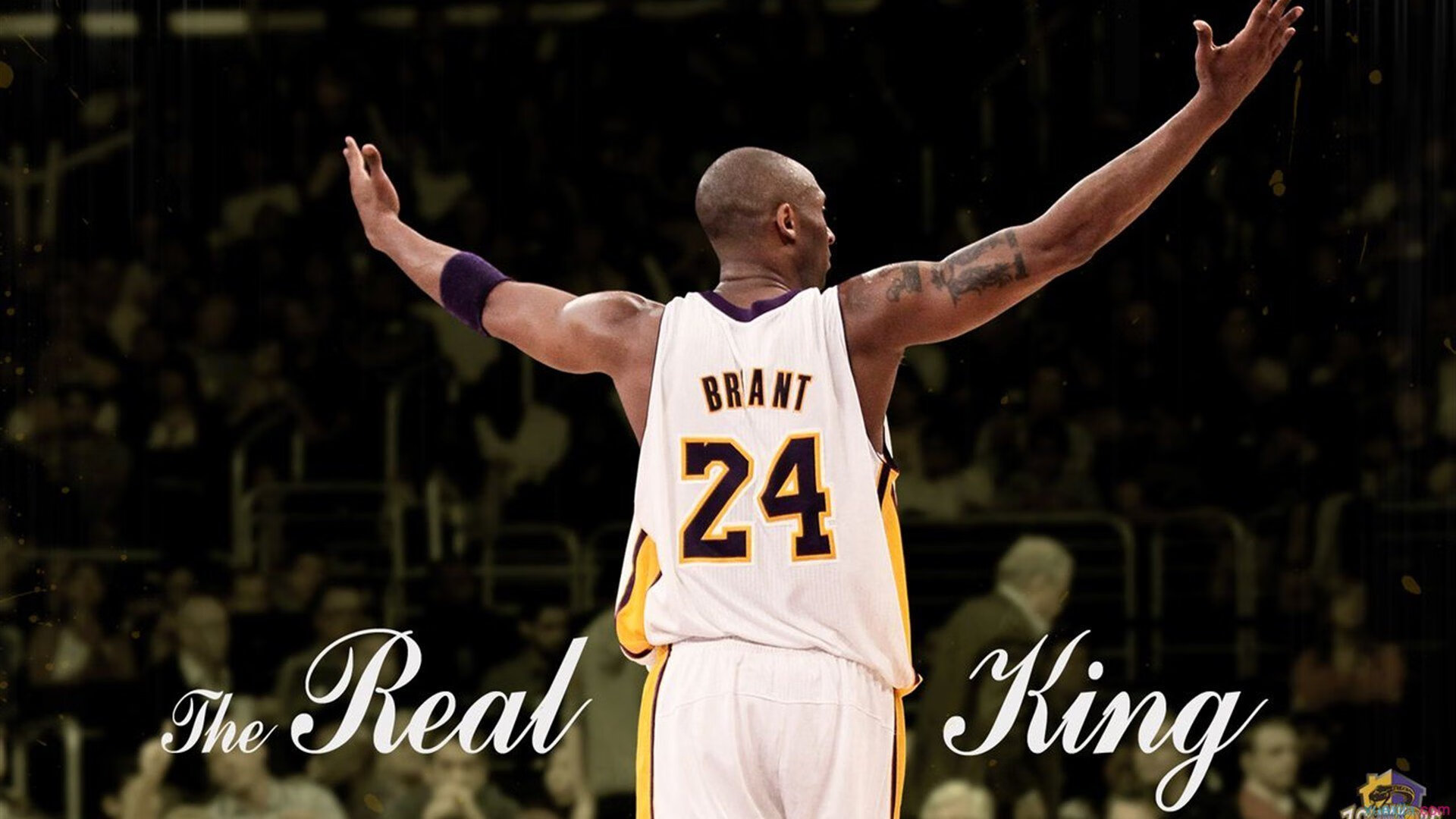 唯一性的霸权，约基奇巨星价值与凯尔特人强压浙江队的双重隐喻