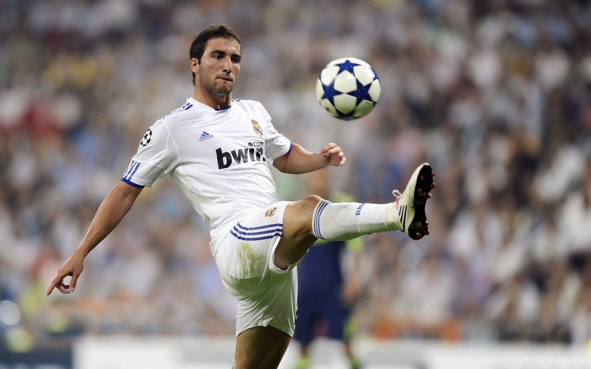 根据您的要求，我为您构思了以下文章标题及正文内容